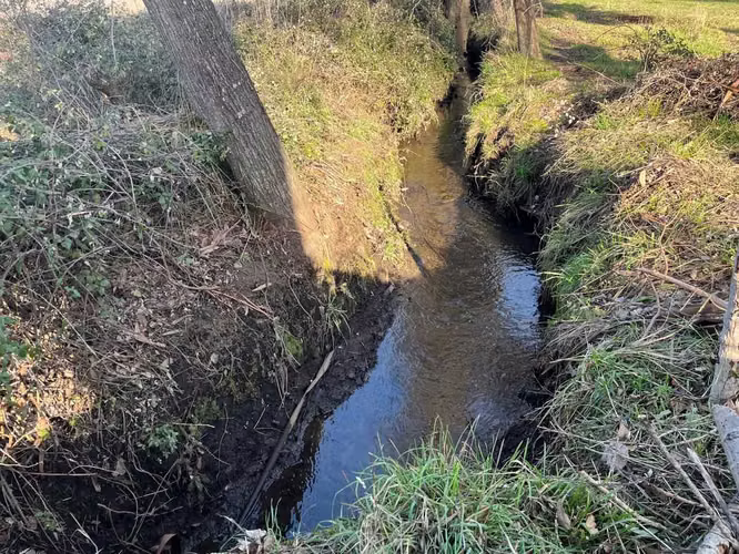 Venta campo 4 ha con agua en Parral (164866)