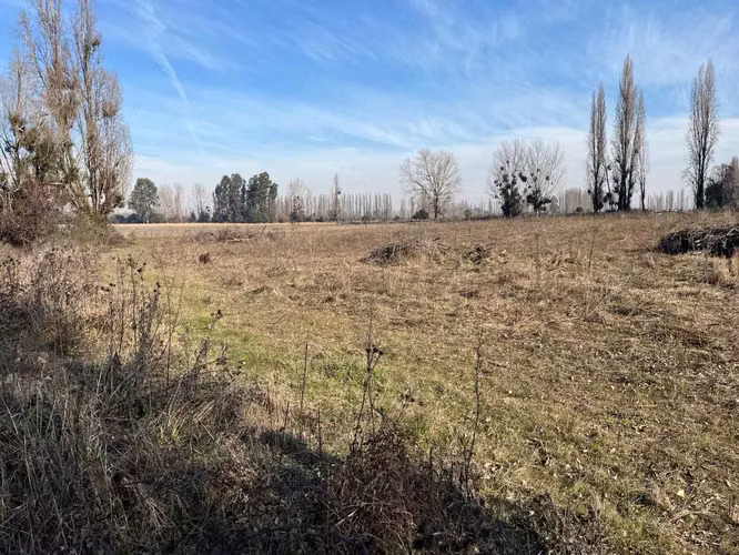 Venta campo 4 ha con agua en Parral (164866)