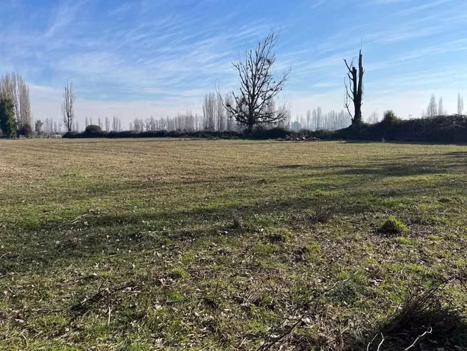 Venta campo 4 ha con agua en Parral (164866)