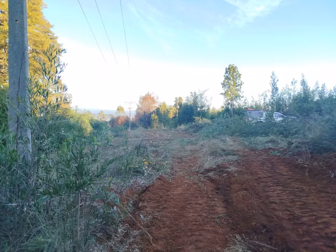 SE LIQUIDA PARCELA DE 8000 M2. CON EDIFICACIONES, EL ARENAL – SECTOR ALTO