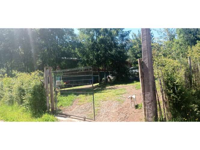 E9421553- Venta Parcela c/ Casa- Cuno Bajo Loncoche-5D2B2E