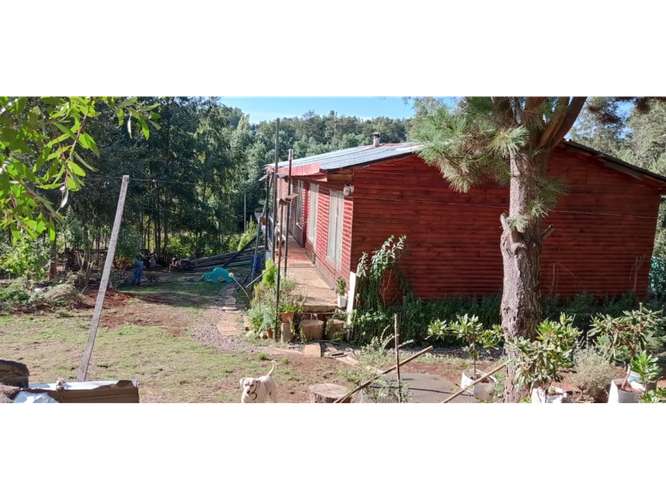 E9421553- Venta Parcela c/ Casa- Cuno Bajo Loncoche-5D2B2E