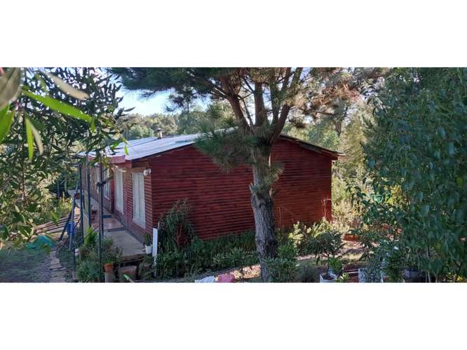 E9421553- Venta Parcela c/ Casa- Cuno Bajo Loncoche-5D2B2E - Imagen 5