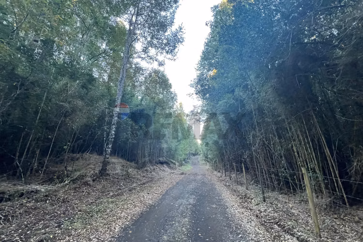 Venta terreno 10.540 m² quilaco pucón - Imagen 18