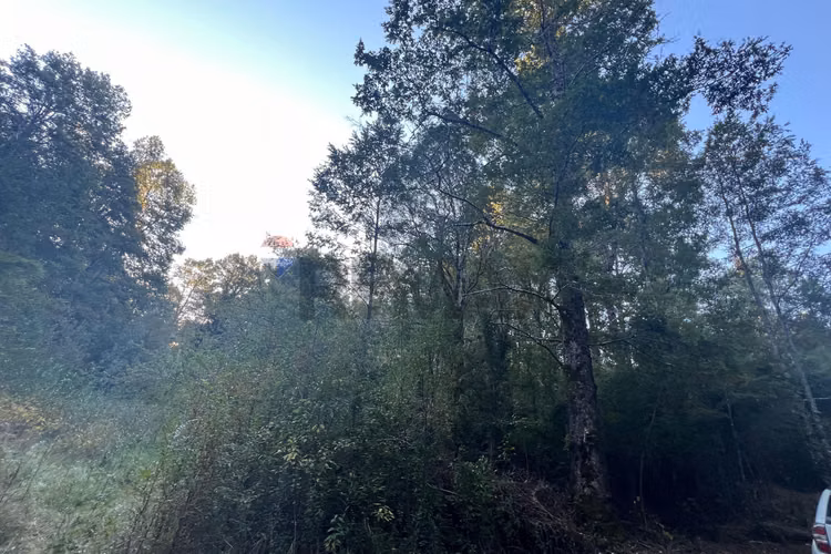 Venta terreno 10.540 m² quilaco pucón - Imagen 11