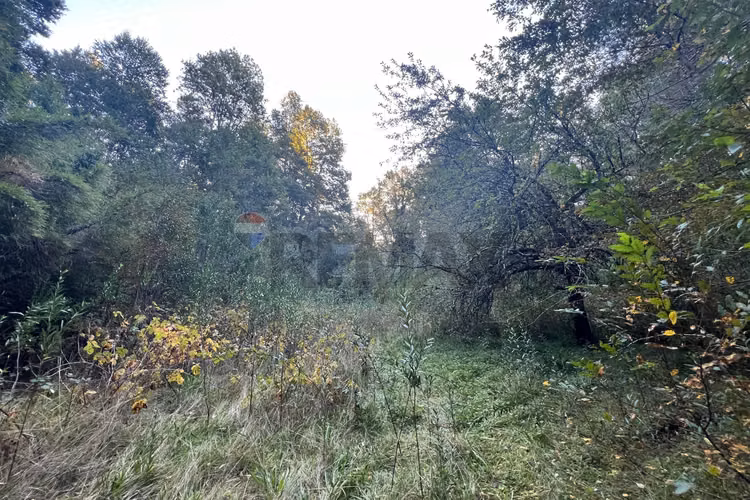 Venta terreno 10.540 m² quilaco pucón - Imagen 5