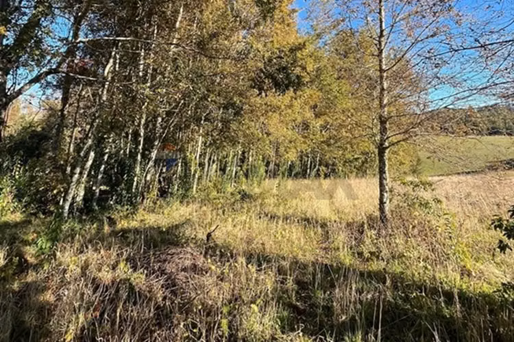 Venta terreno 5.164 m² con vista al volcán