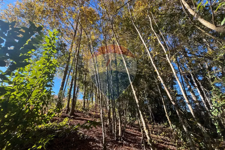Venta terreno 5.164 m² con vista al volcán