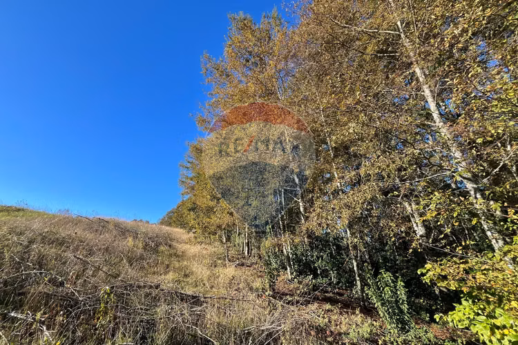 Venta terreno 5.164 m² con vista al volcán
