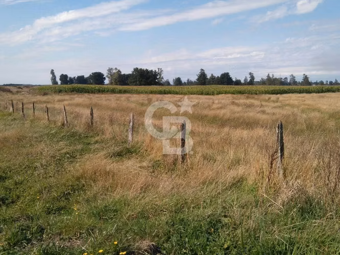 Campo Lechero de Alto Potencial - Osorno