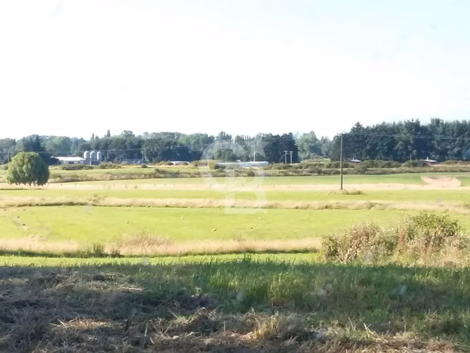 Campo Lechero de Alto Potencial - Osorno
