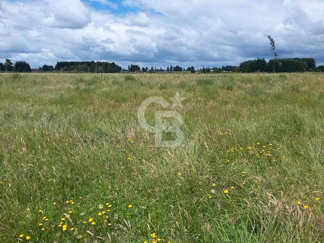 Campo Lechero de Alto Potencial - Osorno