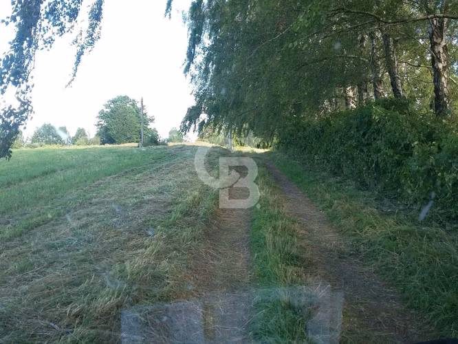 Campo Lechero de Alto Potencial - Osorno