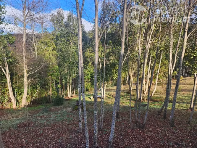 parcela con casa a 30 minutos de Villarrica