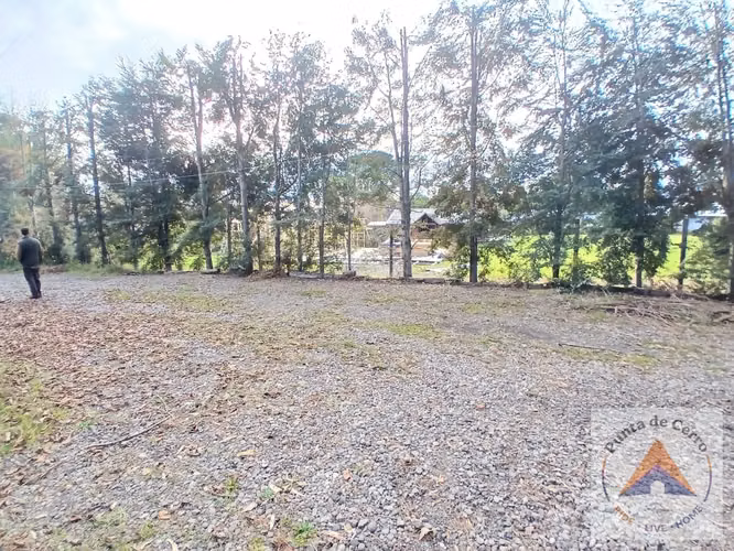  Local comercial en arriendo año corrido – Los Riscos 