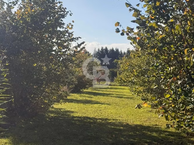 Granja Educativa y Campo Sustentable en venta