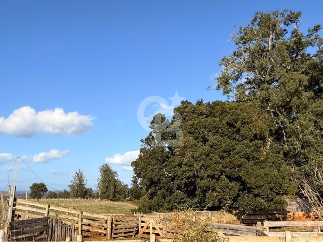Granja Educativa y Campo Sustentable en venta
