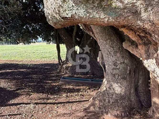 Granja Educativa y Campo Sustentable en venta