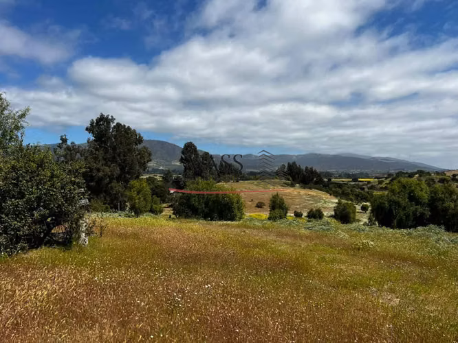 VASS Vende Terrenos 5.000m2 en Las Melosillas Valle Alegre