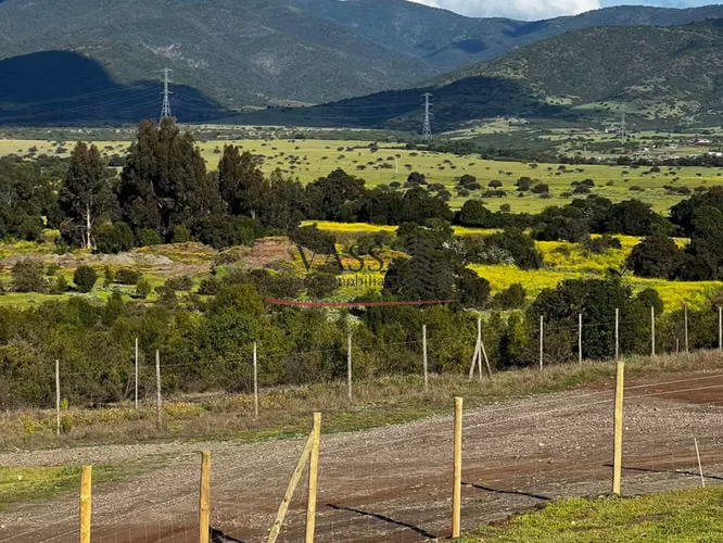 VASS Vende Terrenos 5.000m2 en Las Melosillas Valle Alegre