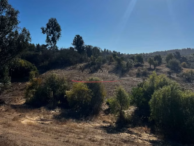 VASS Vende Terrenos 5.000m2 en Las Melosillas Valle Alegre