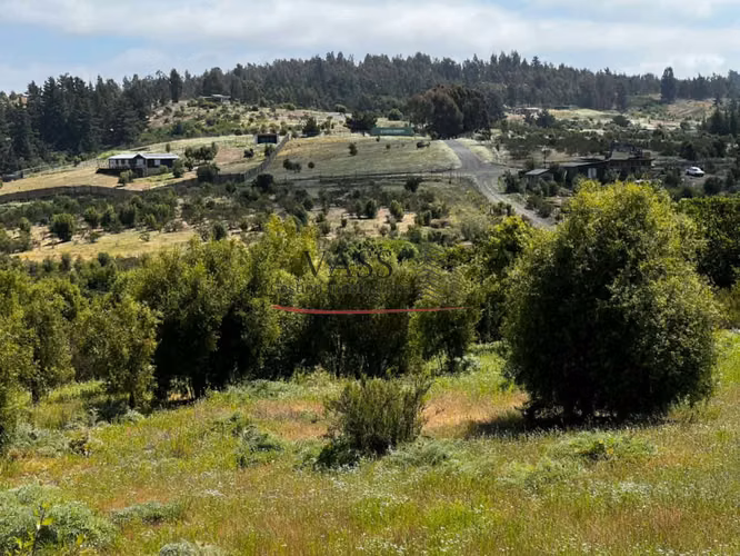 VASS Vende Terrenos 5.000m2 en Las Melosillas Valle Alegre