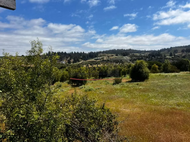 VASS Vende Terrenos 5.000m2 en Las Melosillas Valle Alegre