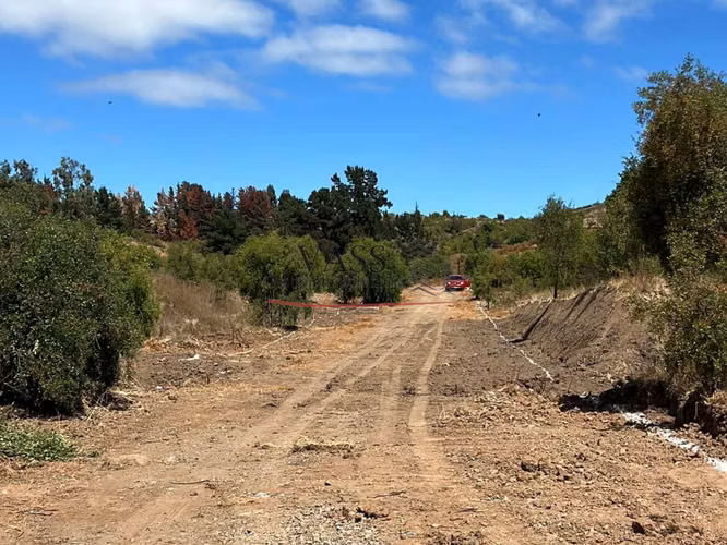 VASS Vende Terrenos 5.000m2 en Las Melosillas Valle Alegre