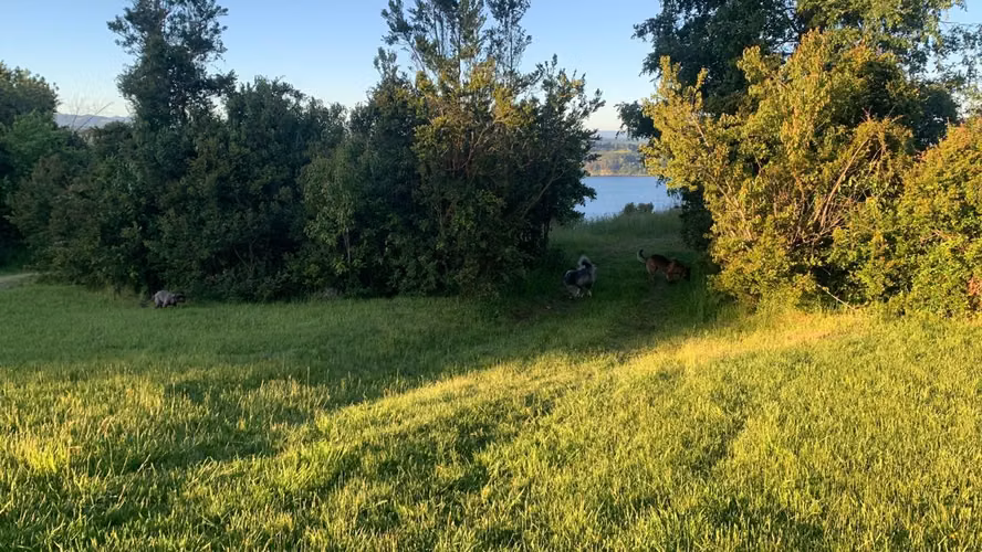 SE VENDE PARCELA PANGUIPULLI PLAYA MONJE