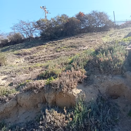 VENTA TERRENO - SITIO 3006MTS Coquimbo - Imagen 20