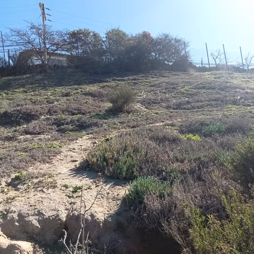 VENTA TERRENO - SITIO 3006MTS Coquimbo - Imagen 11