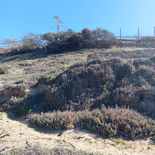 VENTA TERRENO - SITIO 3006MTS Coquimbo - Imagen 23