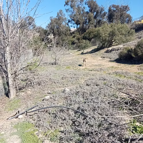 VENTA TERRENO - SITIO 3006MTS Coquimbo - Imagen 25