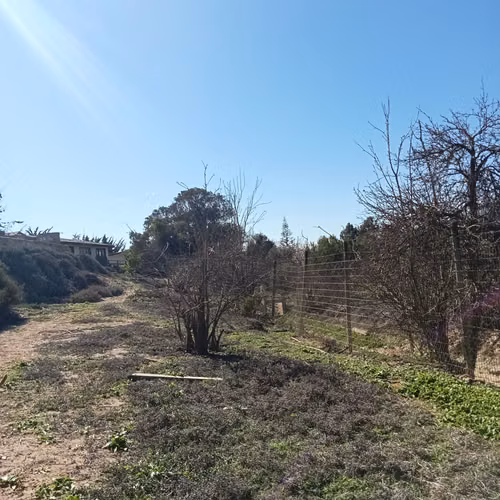 VENTA TERRENO - SITIO 3006MTS Coquimbo - Imagen 13