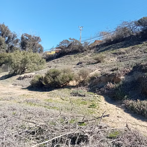 VENTA TERRENO - SITIO 3006MTS Coquimbo - Imagen 24