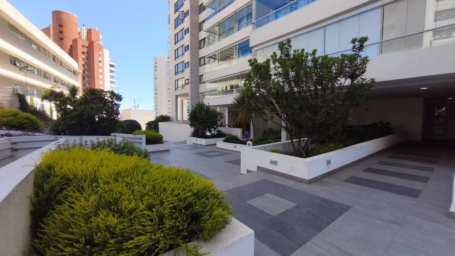 depto 2d piso 13 con vista bosques montemar (165071)