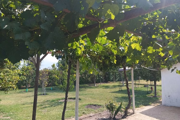 Casa en el monte. condominio. oportunidad