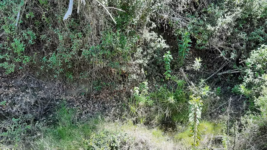 PARCELA Camino Las Dichas