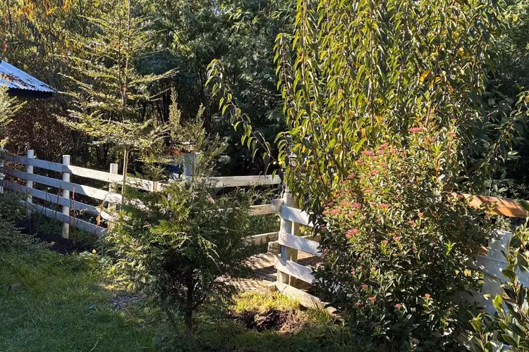 Casa en venta en villarrica molco