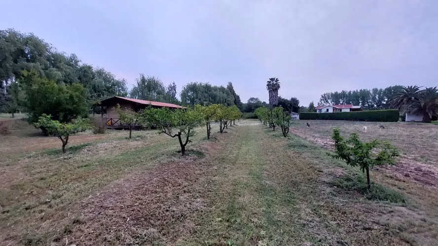 Venta Hermosa Parcela 5.000 Mt2 Sector Champa, Paine