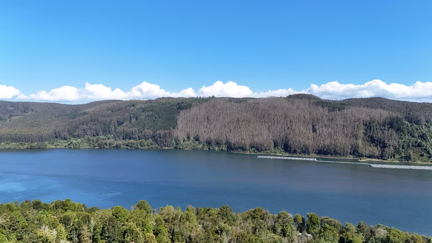 Parcela con Vistas Panorámicas Únicas (165193)
