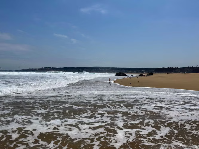 Sitio con gran vista a la mar en Condominio (140084) - Imagen 17