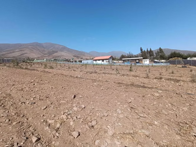 SE VENDE TERRENO 1 HECTAREA ALTO VALSOL  (165090)