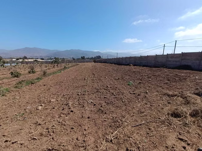 SE VENDE TERRENO 1 HECTAREA ALTO VALSOL  (165090)