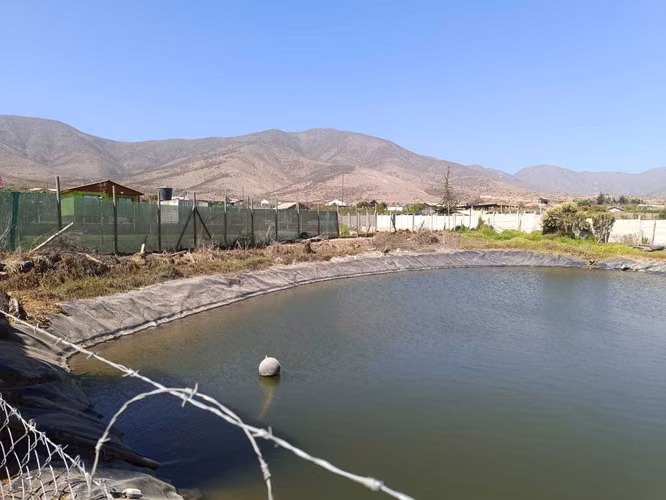SE VENDE TERRENO 1 HECTAREA ALTO VALSOL  (165090)