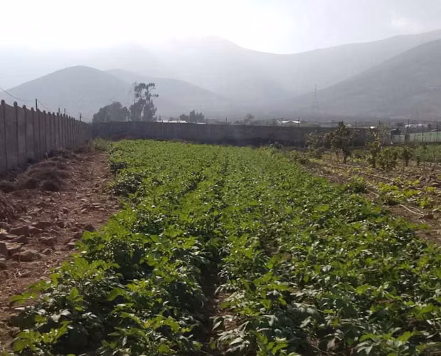 SE VENDE PARCELA ALTOVALSOL - LA SERENA (165090) - Imagen 1