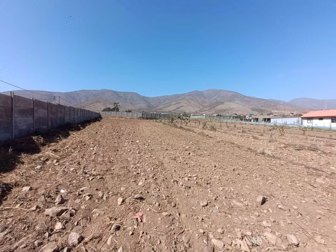 SE VENDE TERRENO 1 HECTAREA ALTO VALSOL  (165090)