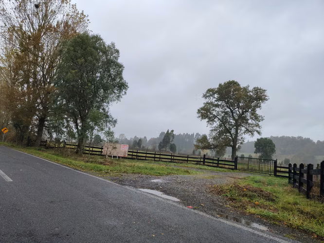 Parcelas a pasos del Lago Ranco - Cuinco - Puerto Nuevo