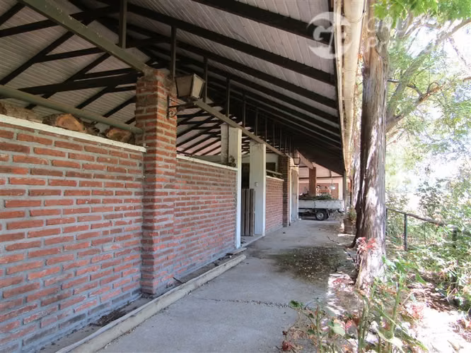 Venta Parcela de 7,3 has. 4 casas-Piscina, en Pintue - Paine