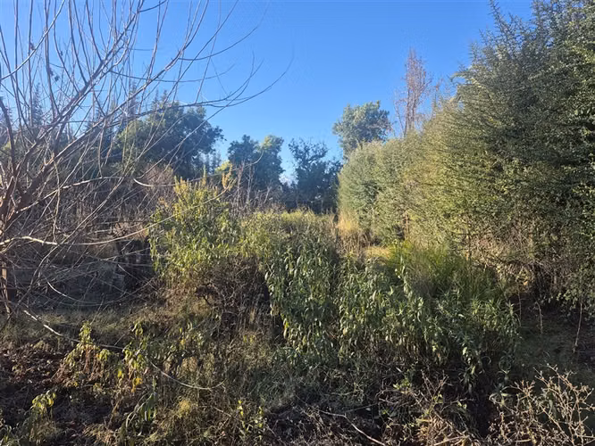 Parcela en venta en Calle Larga 1780 mt2